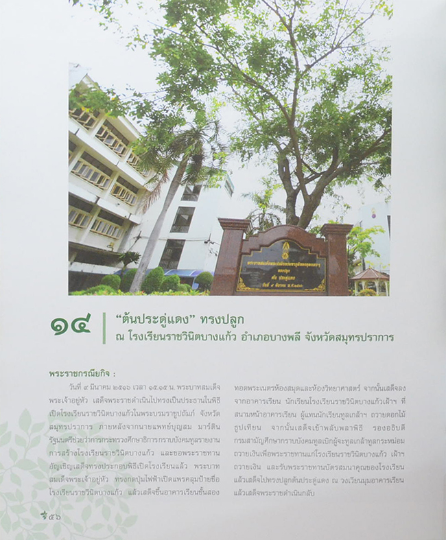 ต้นไม้ทรงปลูก (ไม่มี CD / พร้อมกล่อง / ขายตามสภาพ)