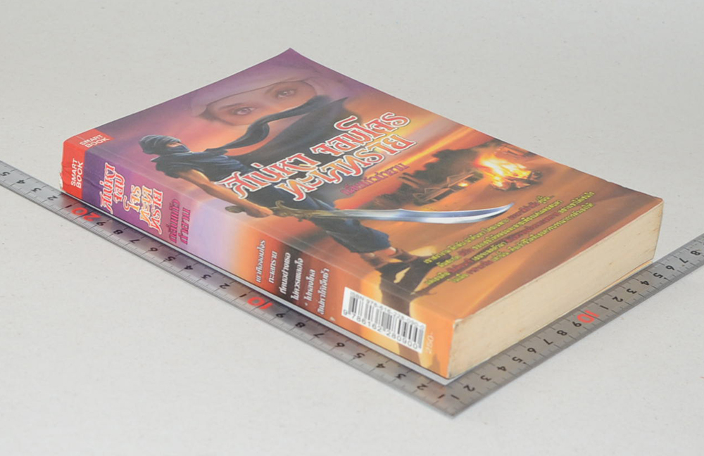 สิเน่หาจอมโจรทะเลทราย (เล่มเดียวจบ)