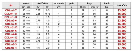 PURITY CDL ปั๊มหอยโข่ง 2 ใบพัด 220V