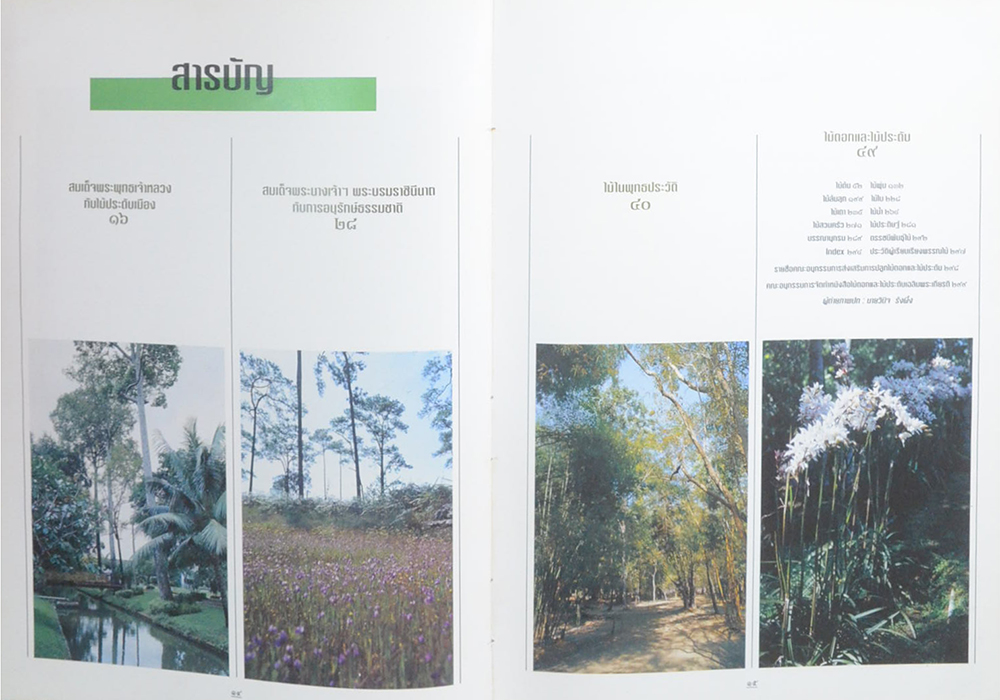 ไม้ดอกและไม้ประดับ (ขายตามสภาพ)