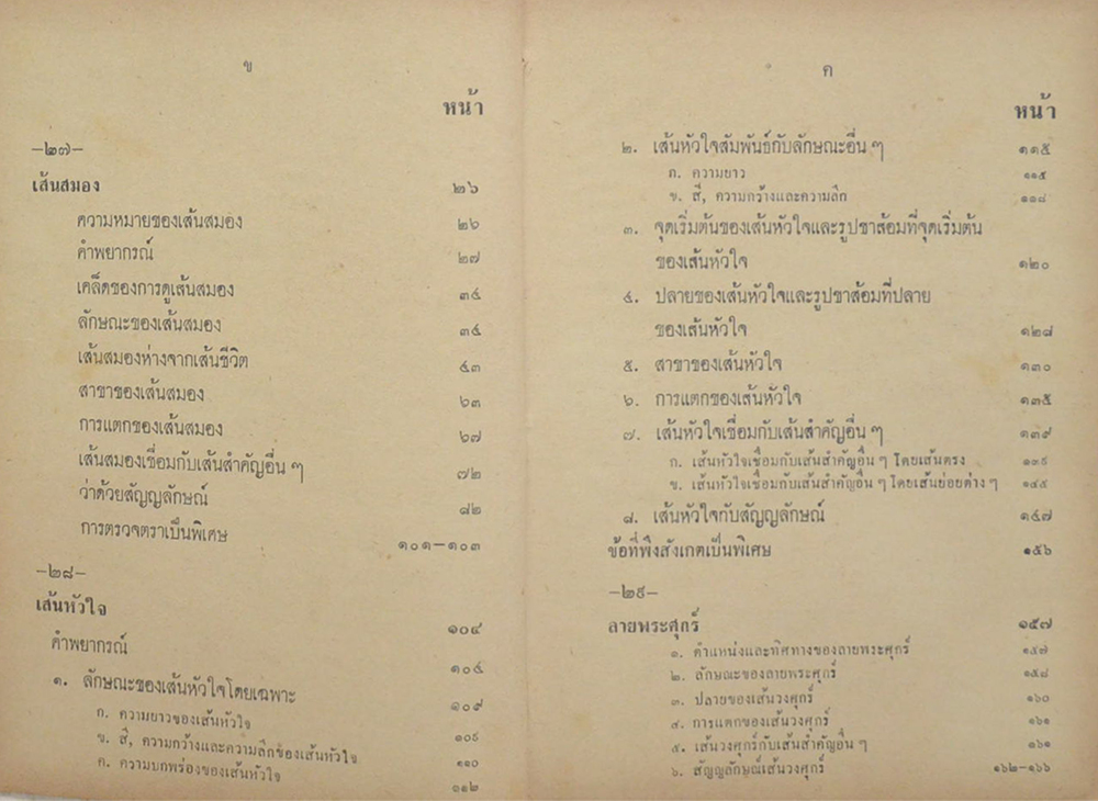 แผนที่ชีวิตบนฝ่ามือ (เล่ม 2 ภาคจบ)