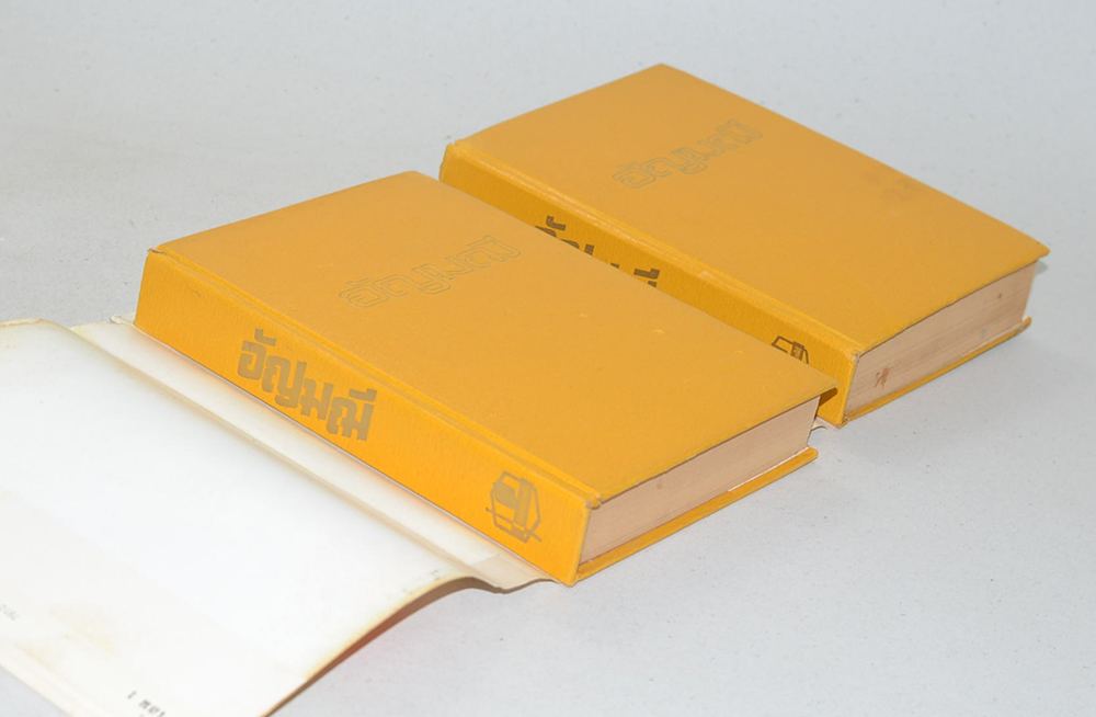 อัญมณี (2 เล่มจบ)