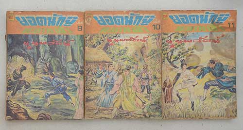 ยอดนักบู๊ทะยานฟ้า (19 เล่ม / ไม่จบ / ขายตามสภาพ)