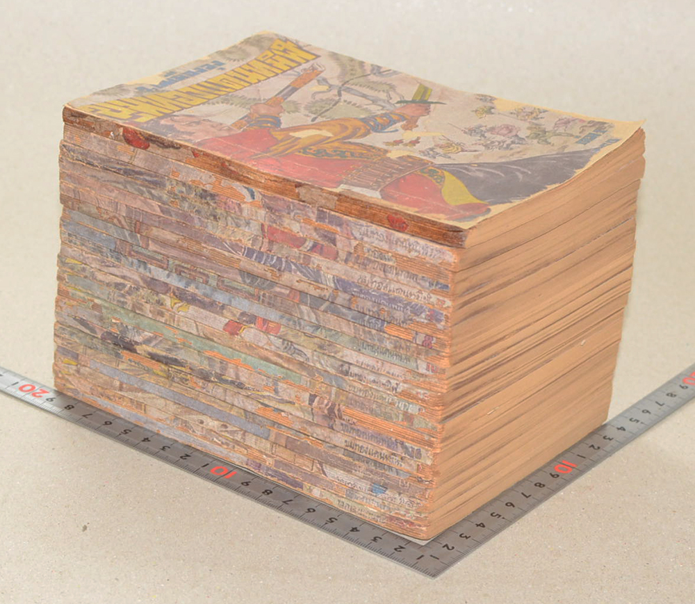 ขุมทองแดนทมิฬ (เล่ม 1-22 / ไม่จบ / ขายตามสภาพ)