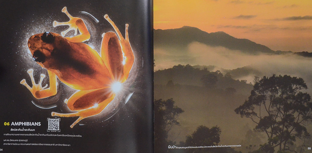 BIODIVERSITY: THE VARIETY OF LIFE