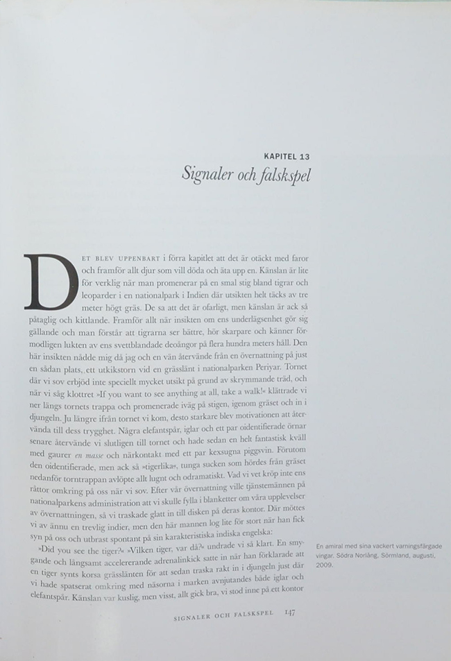 Quercus EKENS MANGRALD