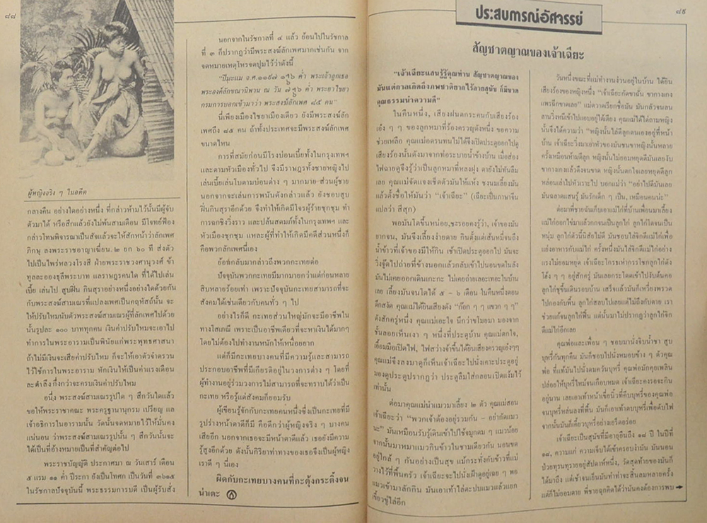 พลังชีวิต ปีที่ 2 ฉบับที่ 20 พฤศจิกายน 2530