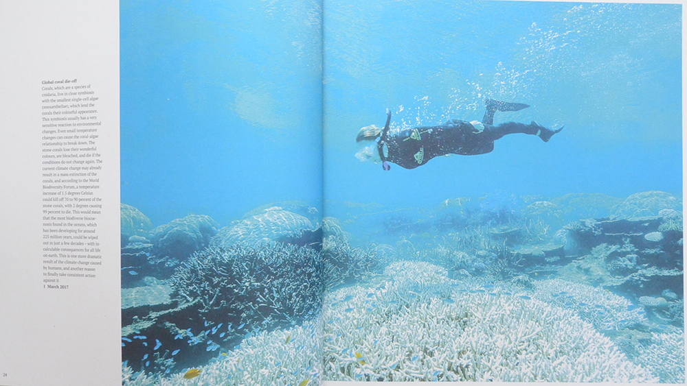 GREENPEACE VIEWS GREENPEACE