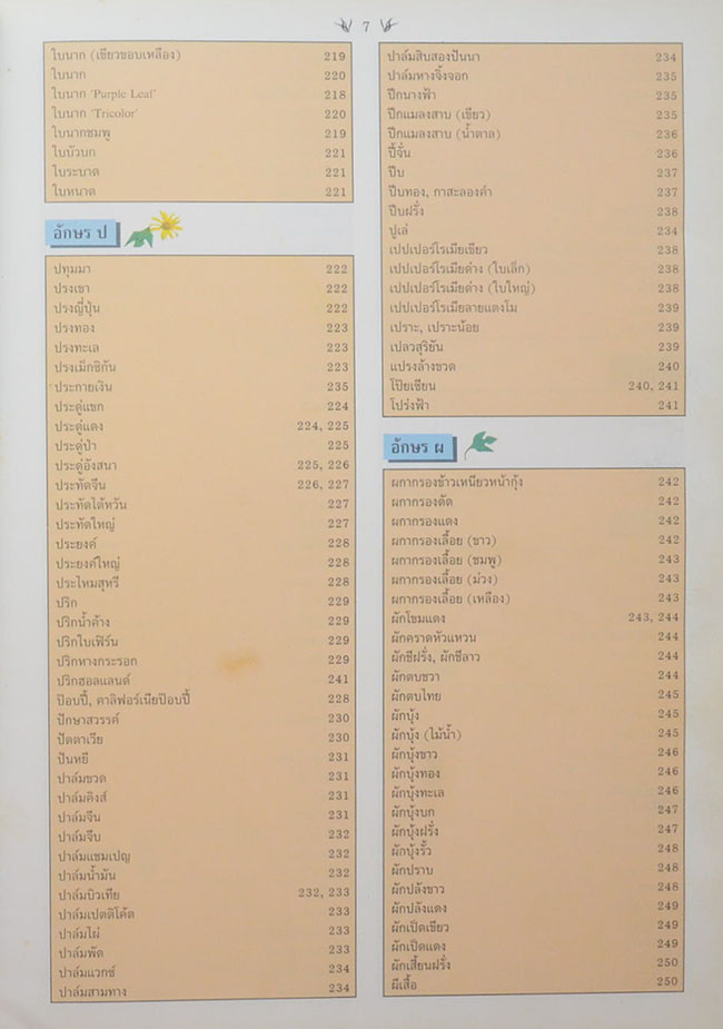 พฤกษาพัน (ภาษาไทย-อังกฤษ)