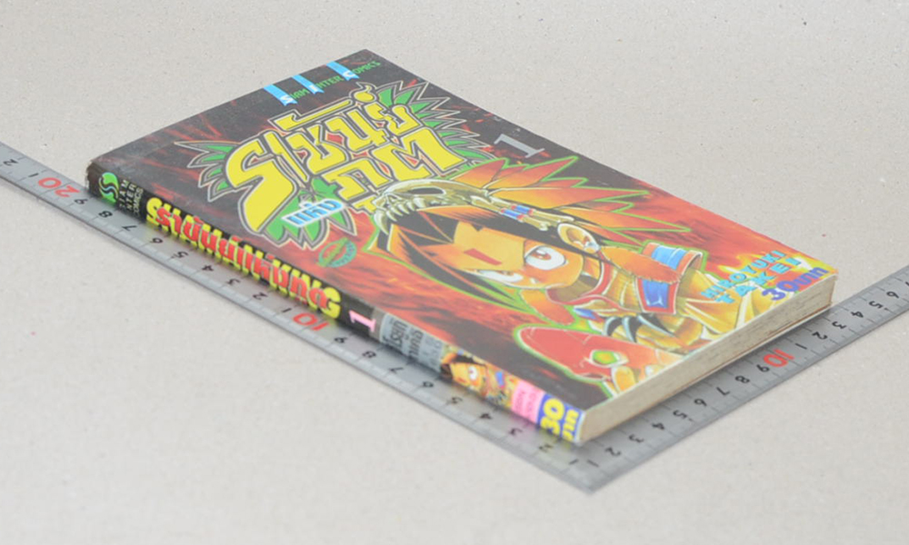 ราชันย์แห่งภูต (28 เล่ม / ไม่จบ)