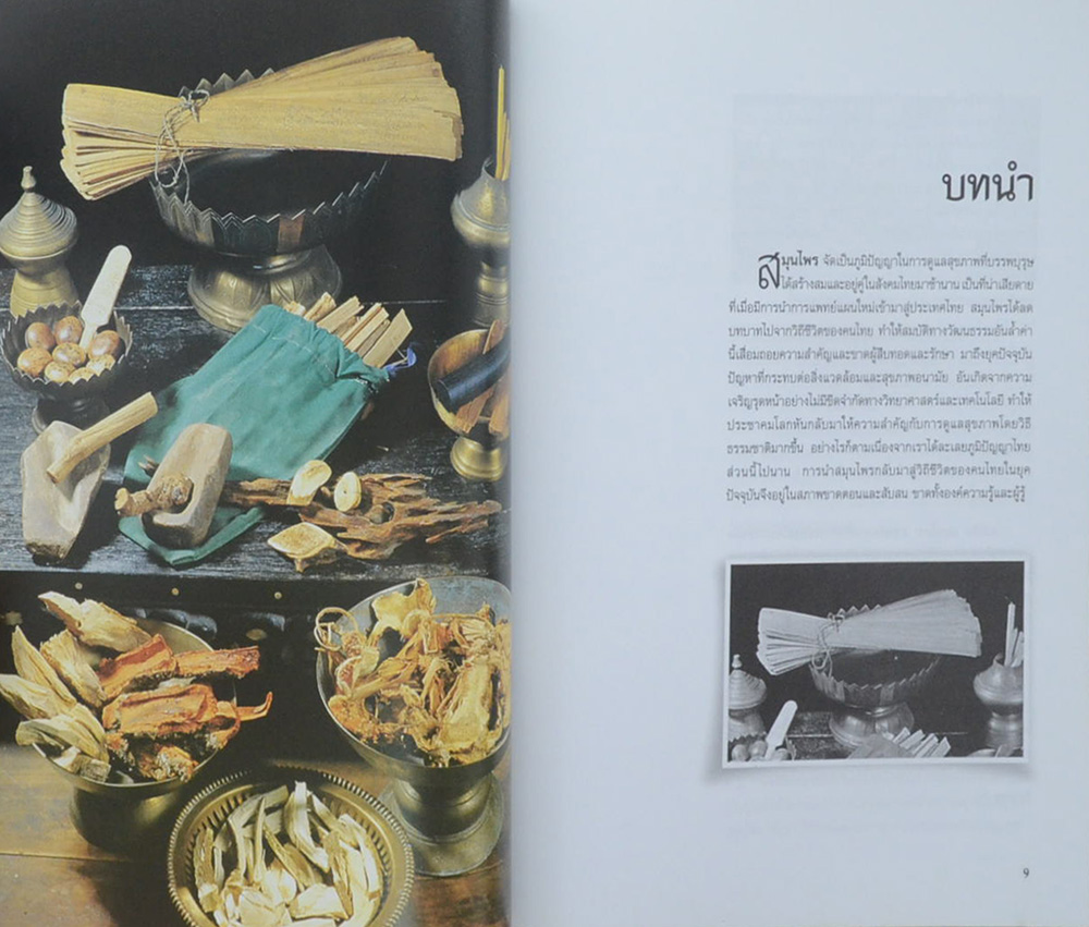 สมุนไพร การพัฒนาเพื่อการใช้ประโยชน์ที่ยั่งยืน