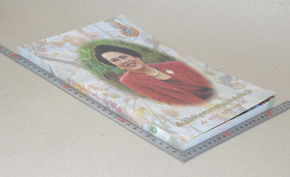 ต้นไม้มงคลพระราชทานประจำจังหวัด (ขายตามสภาพ)