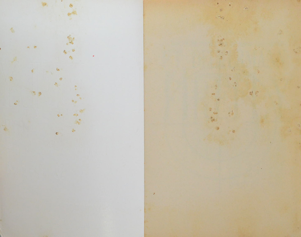 หักเหลี่ยมจารชน