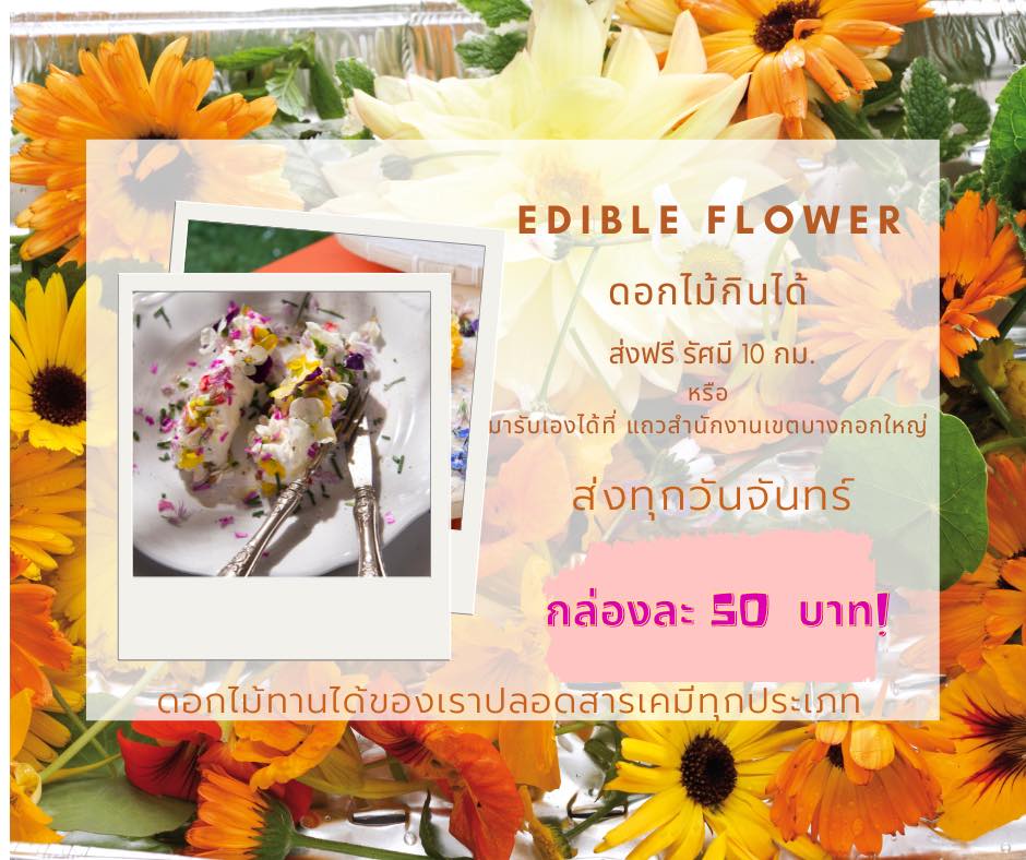ดอกไม้กินได้ Edible flower