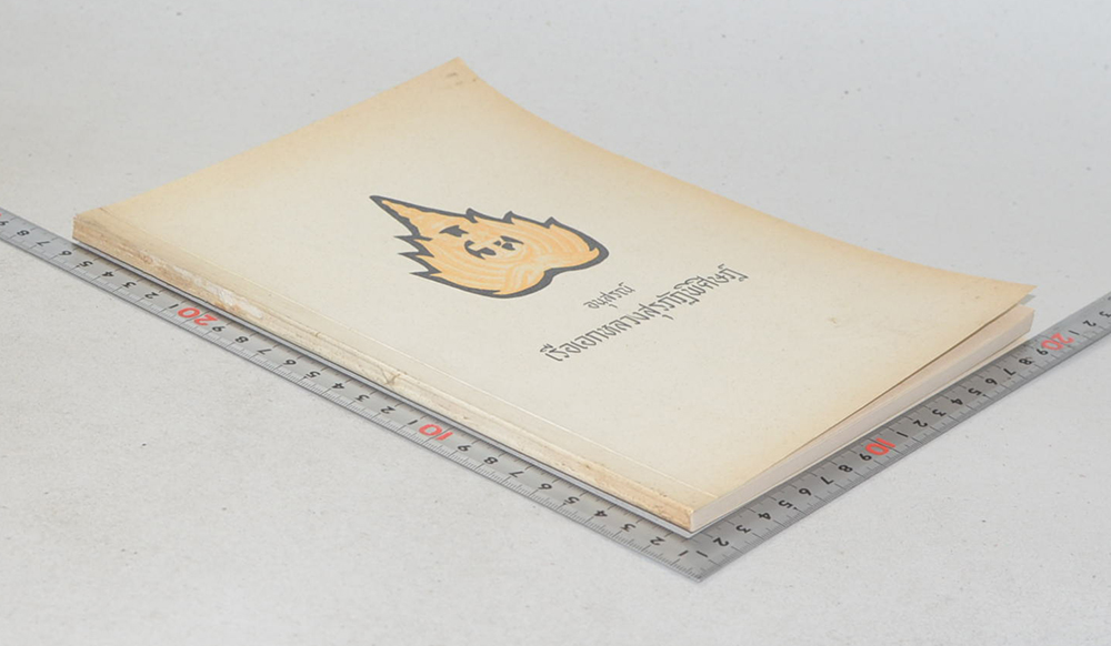 เรือเอกหลวงสุรภัฏพิศิษฎ์ (พระอานนท์ พุทธอนุชา)