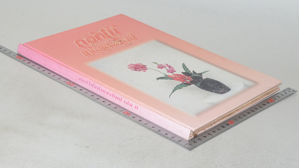 ดอกไม้แห่งแสงทิพย์ (เล่ม 6)