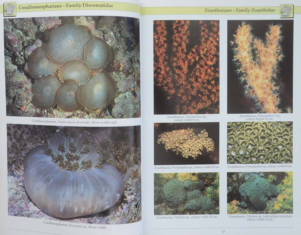 INDO-PACIFIC CORAL REEF FIELD GUIDE
