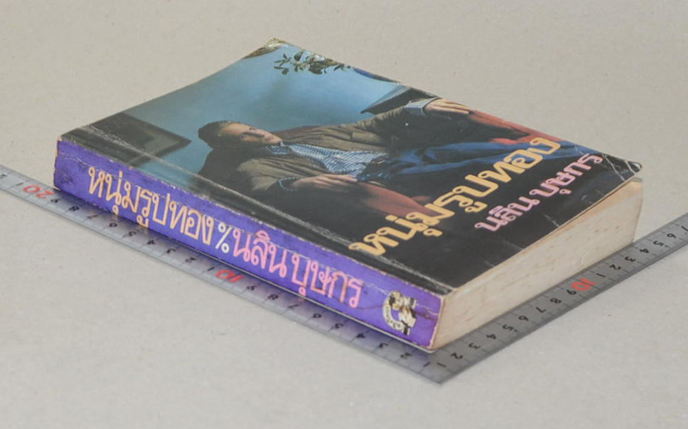 หนุ่มรูปทอง (เล่มเดียวจบ)