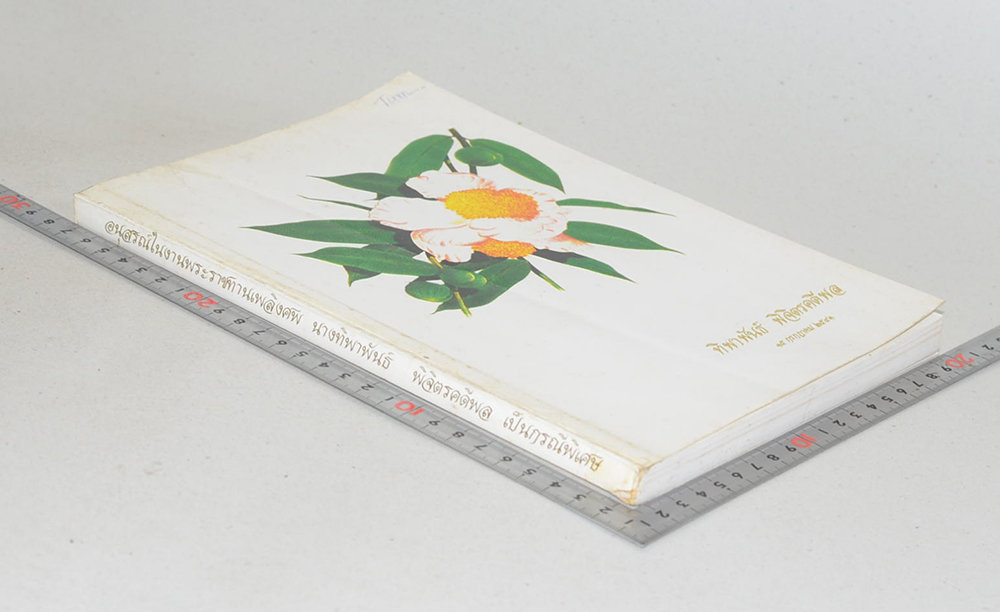 ทิพาพันธ์ พิจิตรคดีพล (ตำราอาหารนานาชาติ) (ขายตามสภาพ)