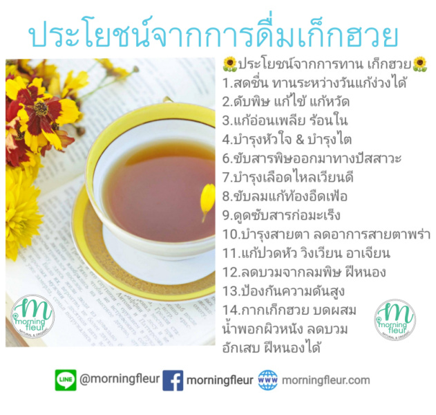 **เก็กฮวยหอมพรีเมียมAAA**ปลอดสาร {Morning Fleur}