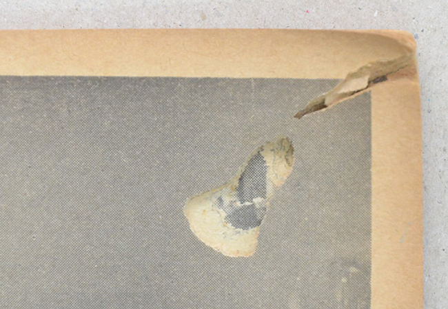 เฉลิมพระเกียรติเนื่องในโอกาสเสด็จนิวัตประเทศไทย พุทธศักราช 2504 (ขายตามสภาพ)