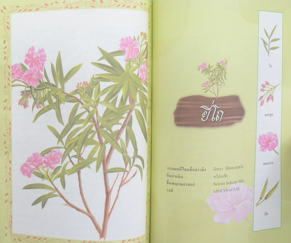 ดอกไม้ในวรรณคดีไทย