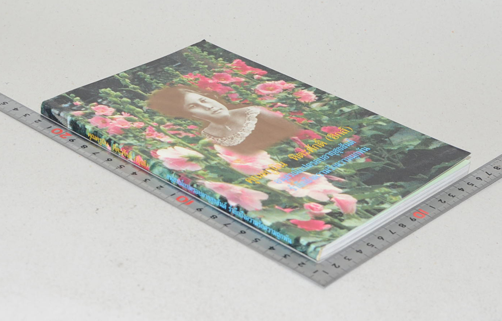 คุณครูผิน หิตะศักดิ์ (ชีวประวัติ-ผลงาน)