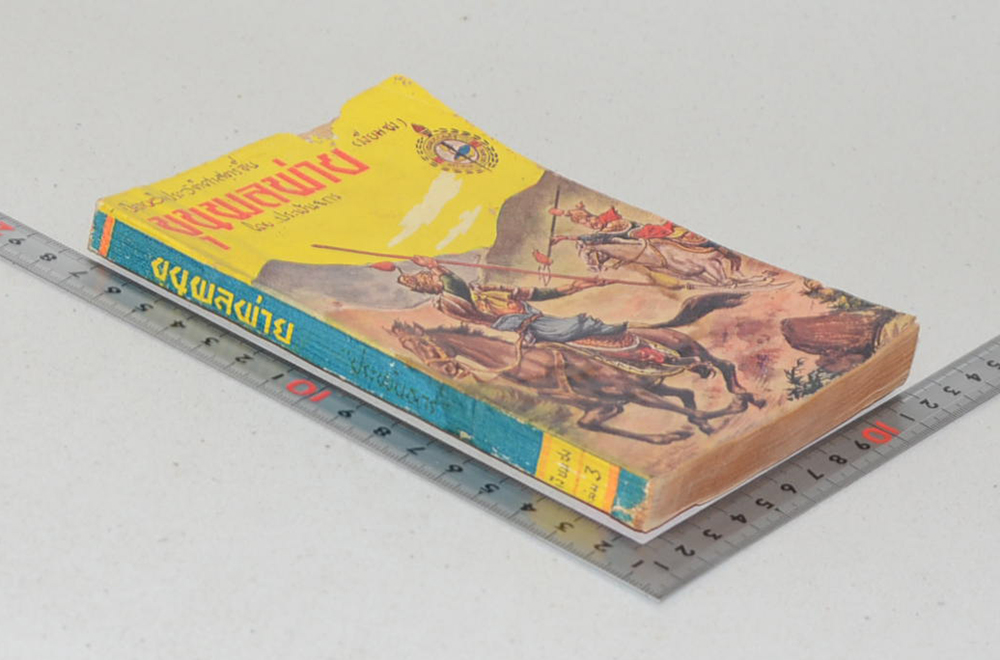 ขุนพลพ่าย (เล่มเดียวจบ / เล่มเล็ก) (ขายตามสภาพ)