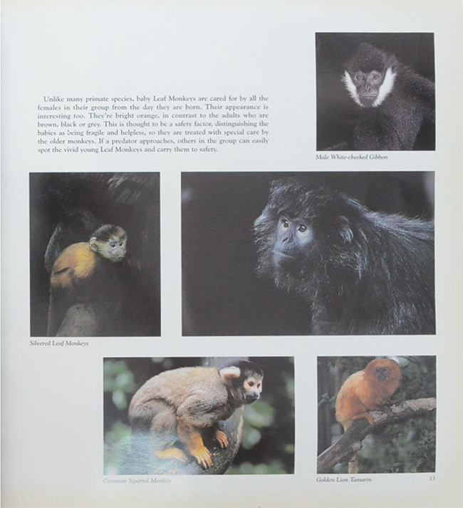 THE ROYAL MELBOURNE ZOOLOGICAL GARDENS