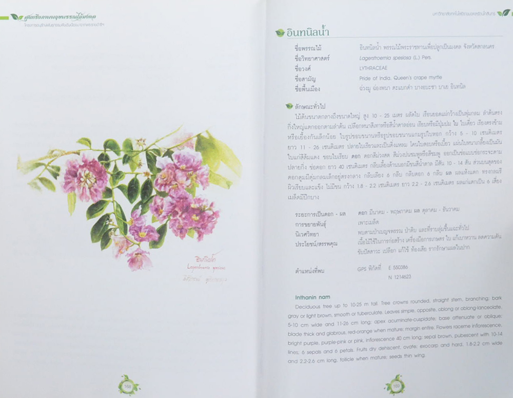 สุนทรียภาพพฤกษพรรณไม้มงคล