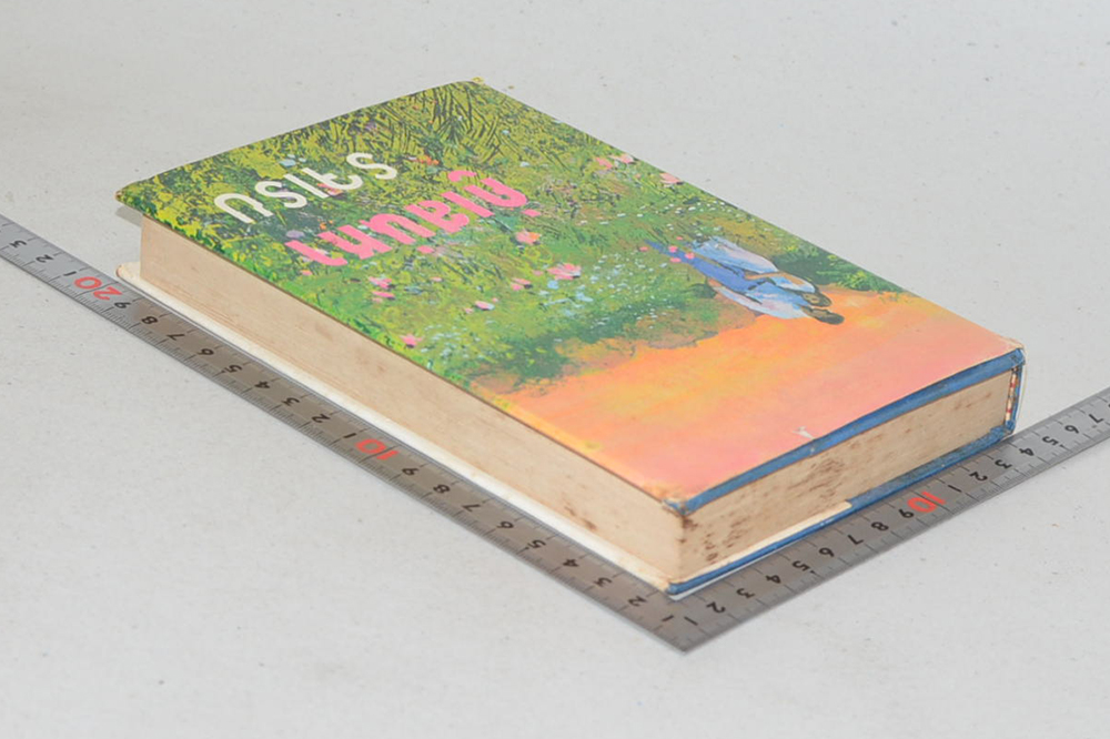 คู่เสน่หา (เล่มเดียวจบ)