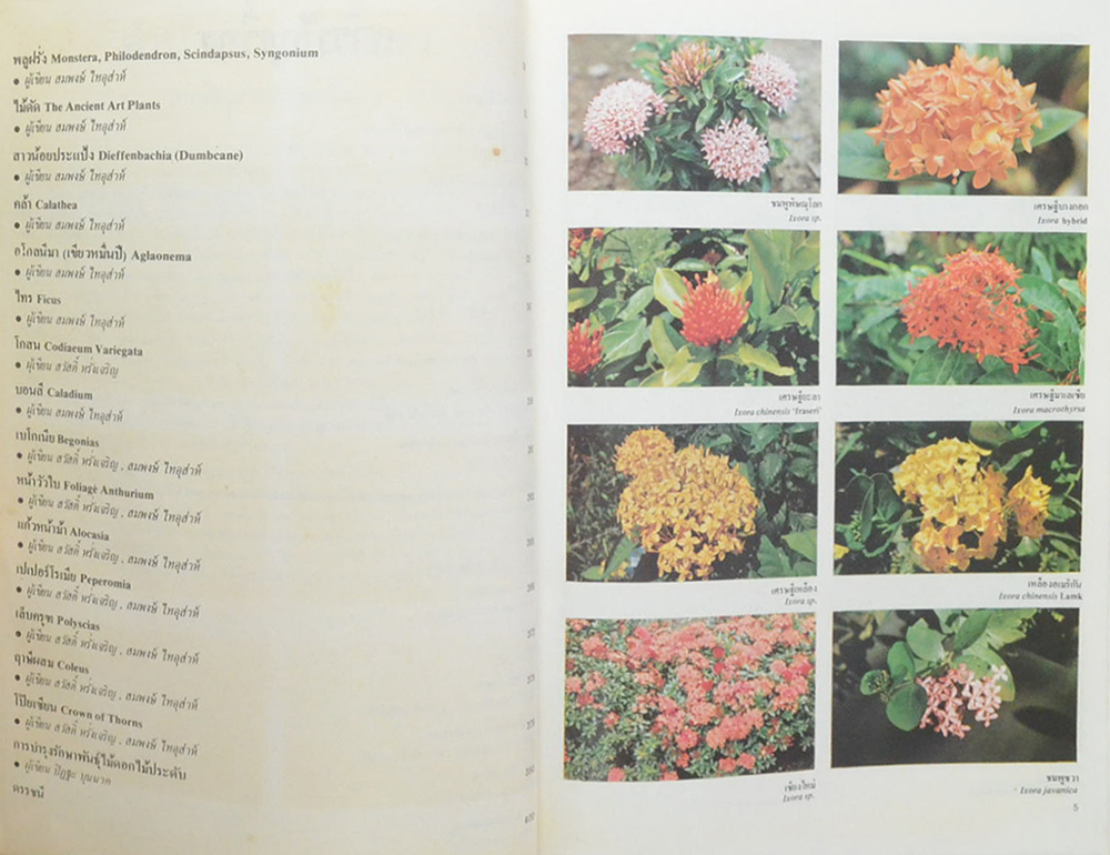 สารานุกรมไม้ประดับในประเทศไทย