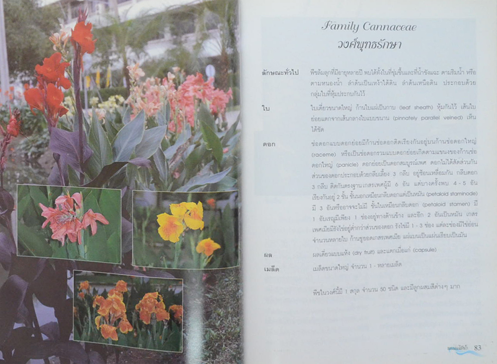 พรรณไม้น้ำในประเทศไทย (ขายตามสภาพ)