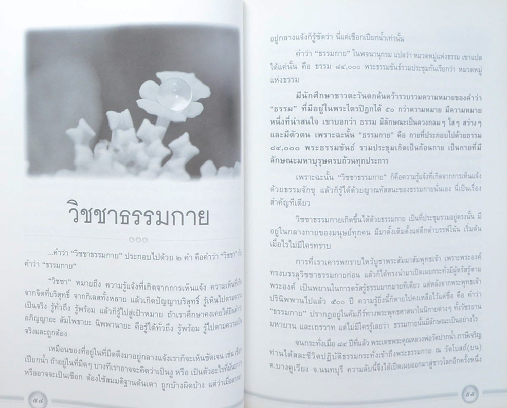 แม่ แม่พระ-พระแม่ (แม่บท เดินทางข้ามวัฏสงสาร)