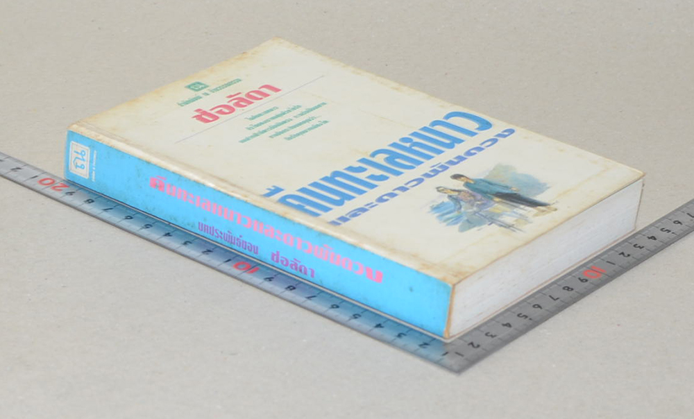 คืนทะเลหนาวและดาวพันดวง (เล่มเดียวจบ)