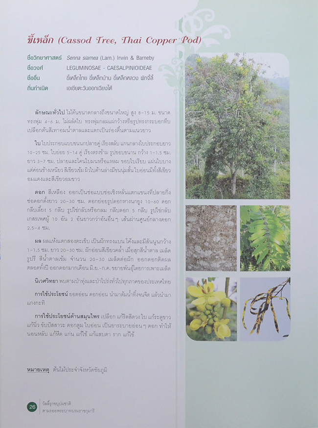 วัลลิ์รุกขบุปผชาติ ตามรอยพระบาทบรมราชกุมารี (ขายตามสภาพ)