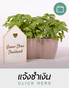 แจ้งชำเงิน grow shop thailand Line id : @zjv8304o Phone : 087-783-9960