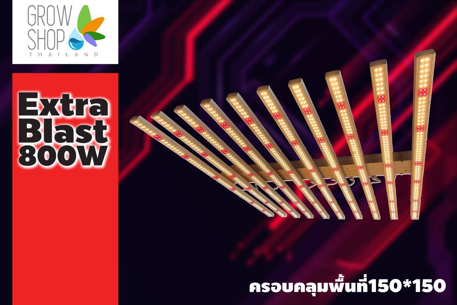 ไฟปลูกพืช ไฟเร่งโต ไฟเร่งดอก ไฟเร่งน้ำมัน Grow Light LED 10 บาร์ 800W มีดิมเมอร์