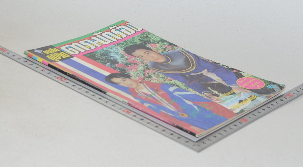 อนุทินคู่ชีวิต ดารา-นักร้อง ปีที่ 29 ฉบับที่ 434 มกราคม-กุมภาพันธ์ 2539