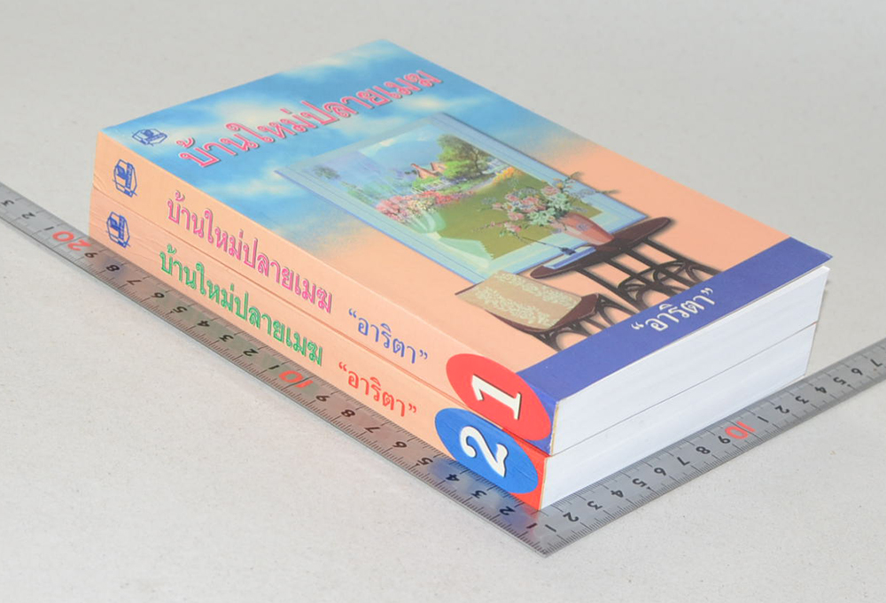 บ้านใหม่ปลยเมฆ (2 เล่มจบ)