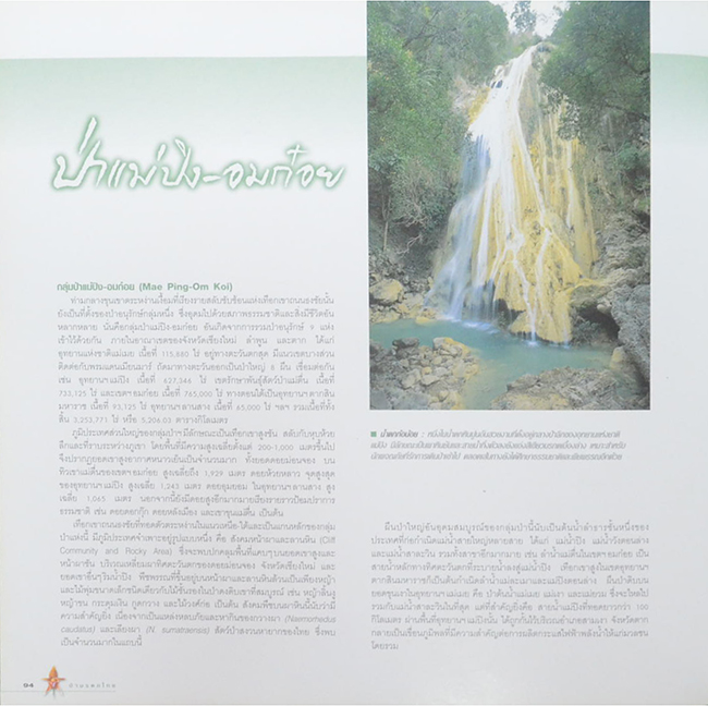 ป่ามรดกไทย อาณาจักรพรรณพืชและสรรพชีวิตแห่งป่าเขตร้อน (ขายตามสภาพ)