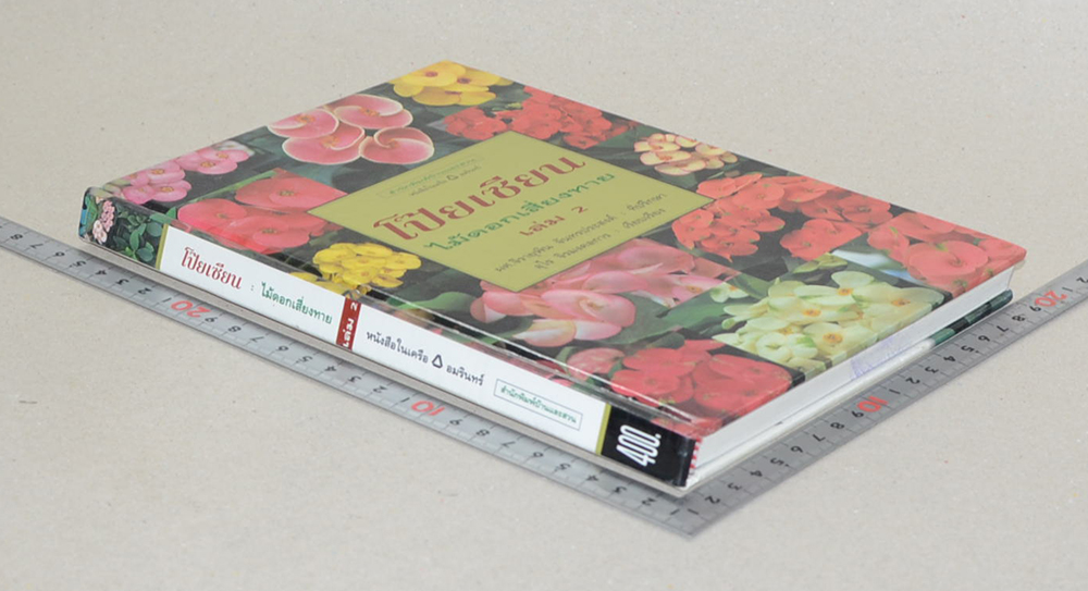 โป๊ยเซียน ไม้ดอกเสี่ยงทาย (เล่ม 2) (ขายตามสภาพ)