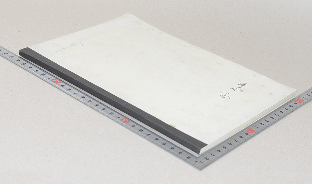 นางอรุ่น สีบุญเรือง (โลกทิพย์)