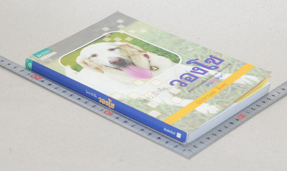 ใครว่าป้าชื่อ...วองโซ