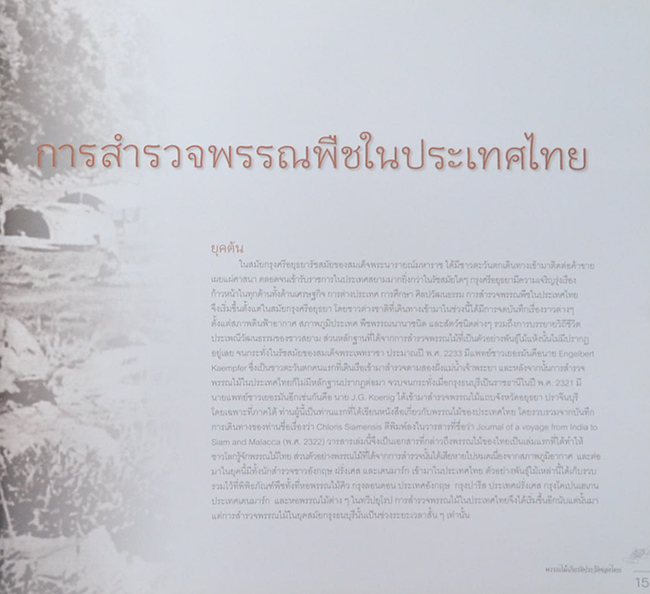 พรรณไม้เกียรติประวัติของไทย