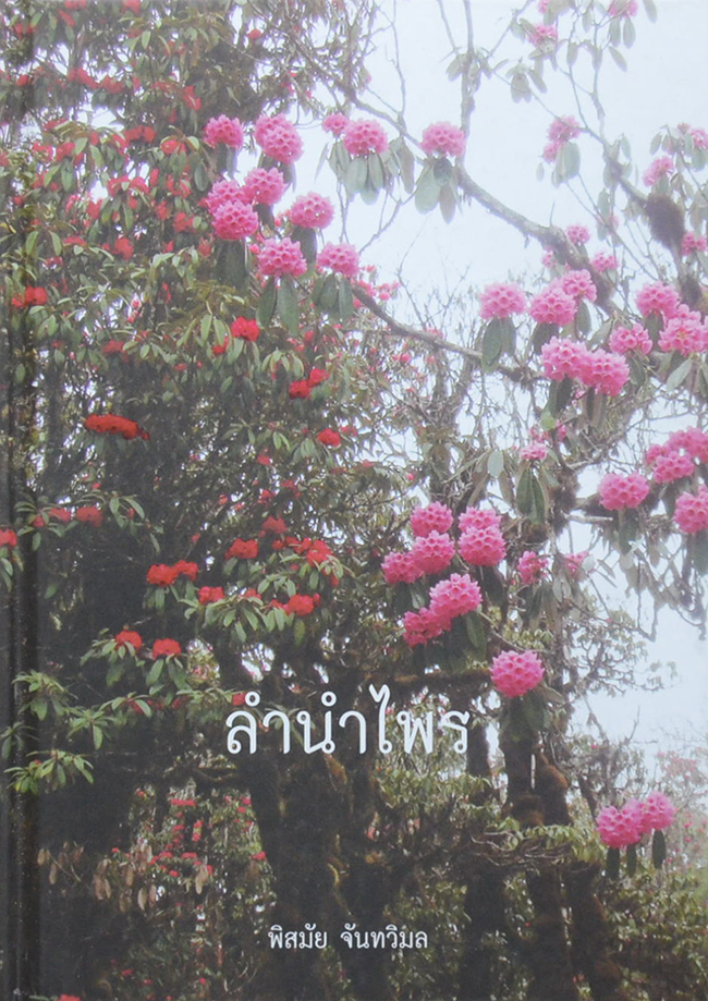 ลำนำไพร