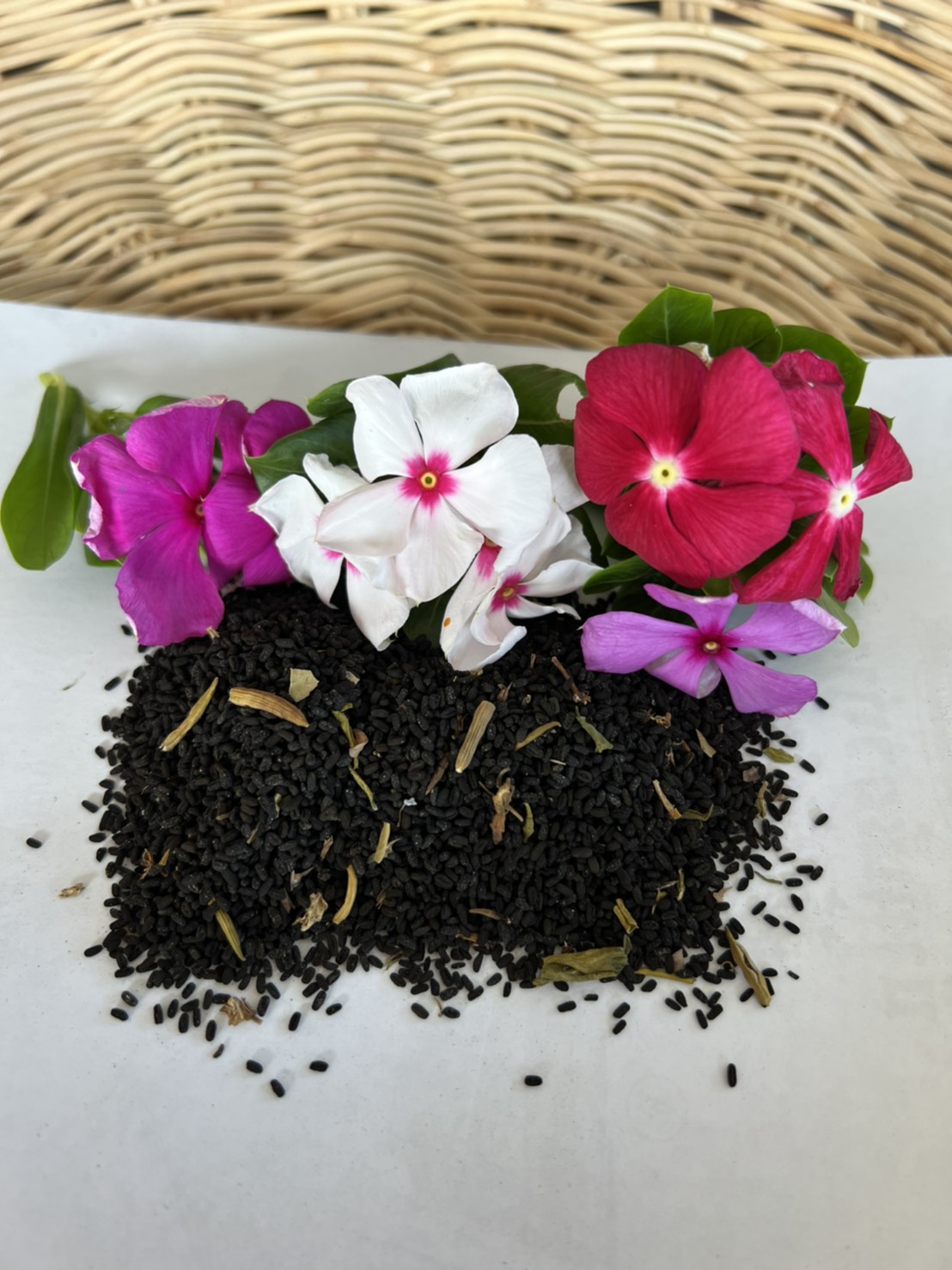เมล็ดแพงพวย 200 เมล็ด Madagascar Periwinkle seed