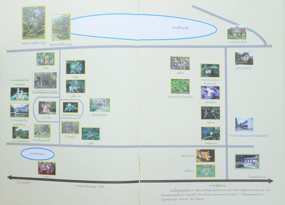 พืชสมุนไพรในสวนป่าสมุนไพรเขาหินซ้อน ฉบับสมบูรณ์ พ.ศ.2550 (ขายตามสภาพ)