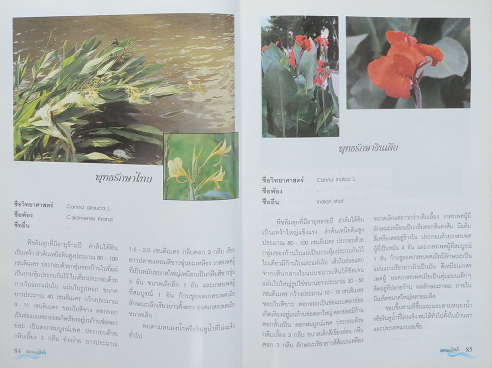 พรรณไม้น้ำในประเทศไทย (ขายตามสภาพ)