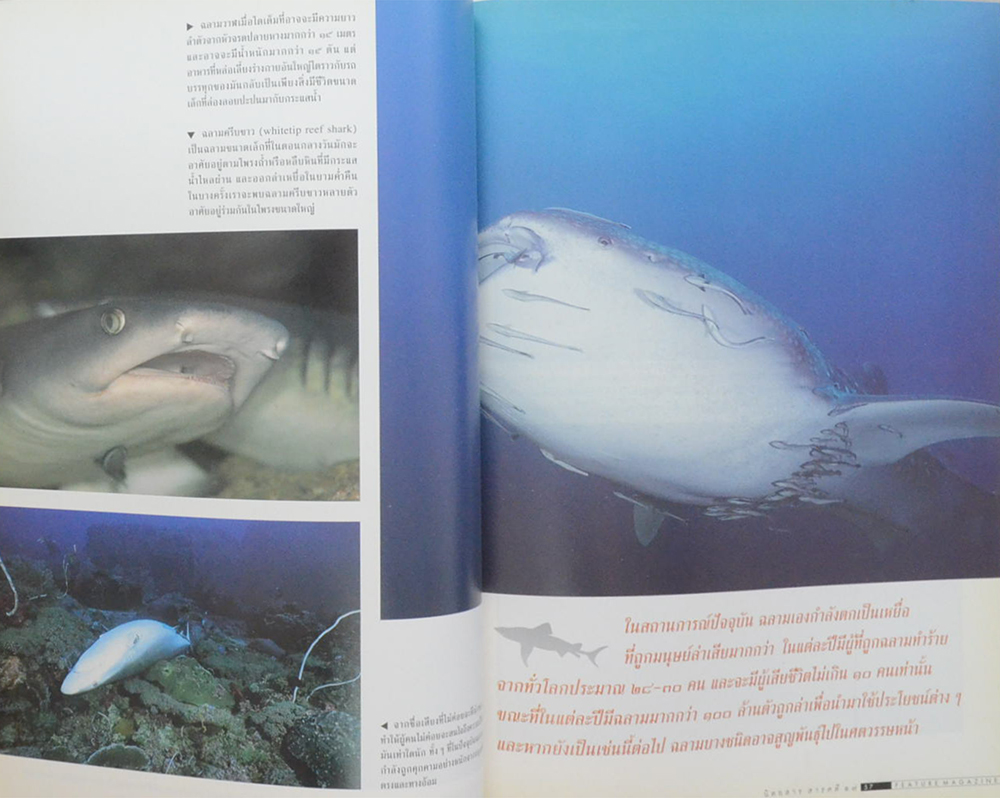 สารคดี ปีที่ 14 ฉบับที่ 160 มิถุนายน 2541